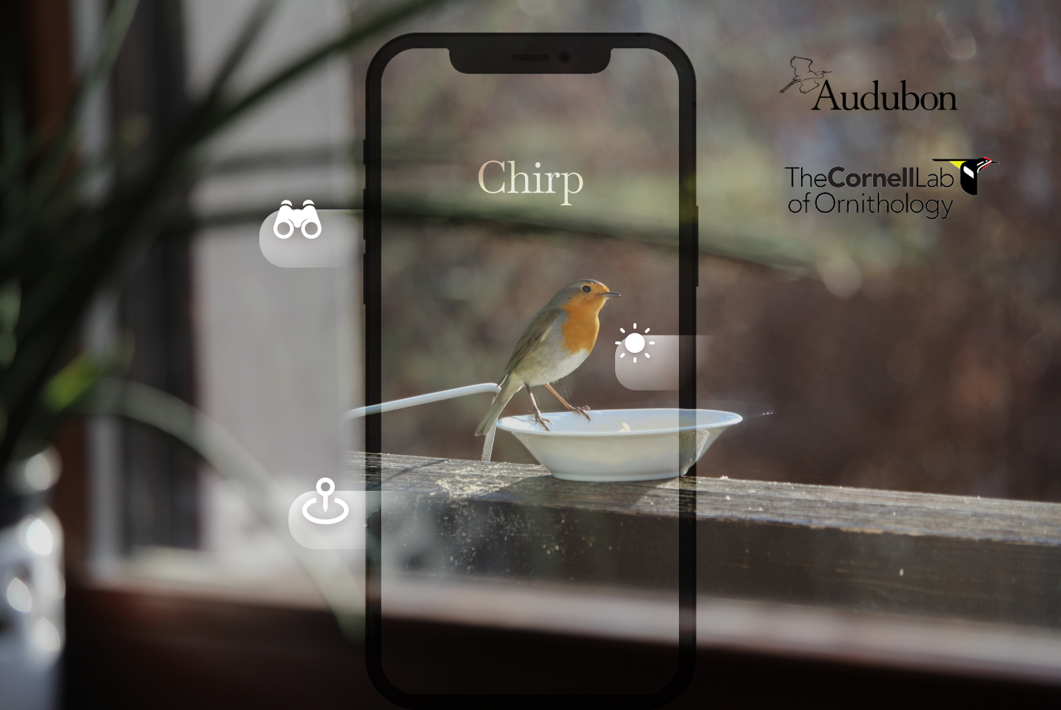 Chirp —  Almighty Weather App for the Bird Lover